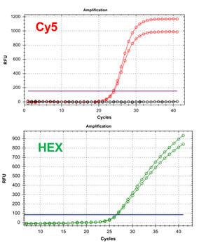 E.coli O157:H7 TaqMan PCR Kit Figure 2