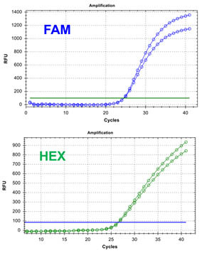 E.coli O157:H7 TaqMan PCR Kit Figure 3