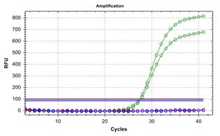 E.coli O157:H7 TaqMan PCR Kit Figure 4