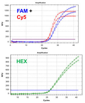 Figure 1. HPV 6/16 TaqMan PCR Kit