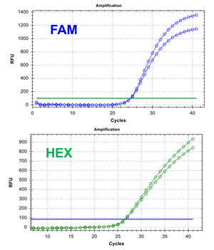 Figure 3. HPV 6/16 TaqMan PCR Kit 