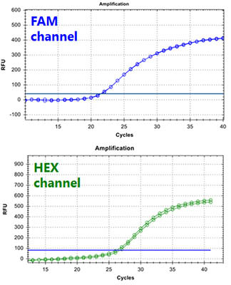 ZIKV TaqMan PCR Kit Figure 1