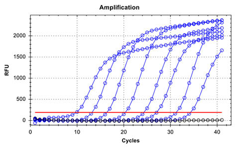 ZIKV TaqMan PCR Kit Figure 4