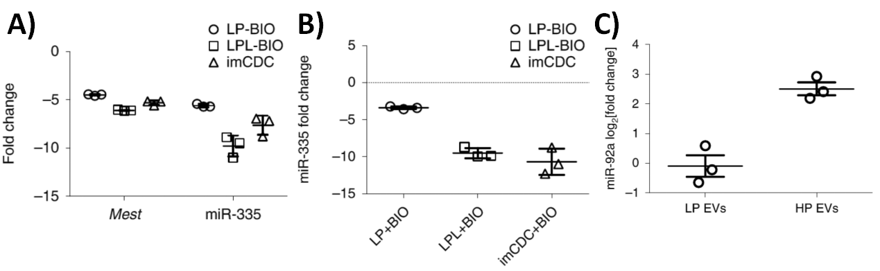 Figure 2 A), B), and C)