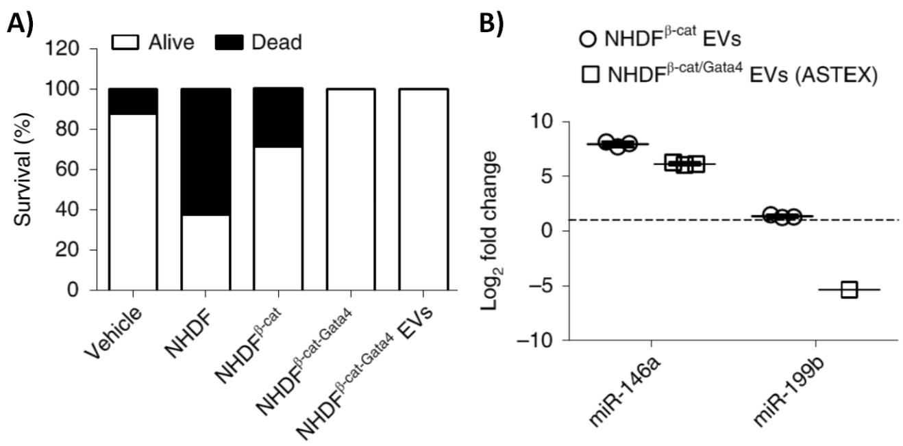 Figure 3 A) and B)