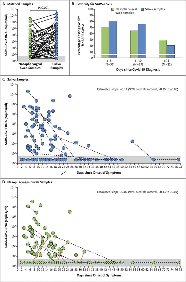 A) Matched Samples B) Positivity for SARS-CoV-2: Percentage testing positive for SARS-CoV-2 versus Days since COVID-19 Diagnosis. C) Saliva Samples: SARS-CoV-2 RNA (copies/mL) plotted against Days since Onset of Symptoms. D) Nasopharyngeal Swab Samples: SARS-CoV-2 RNA (copies/mL) plotted against Days since Onset of Symptoms. Results show comparable performance between swabs and saliva.