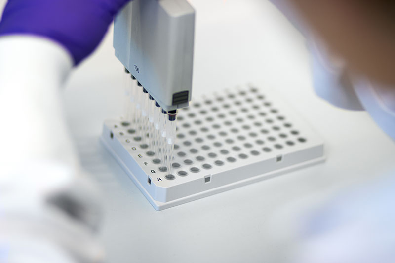 laboratory worker using multichannel pipette