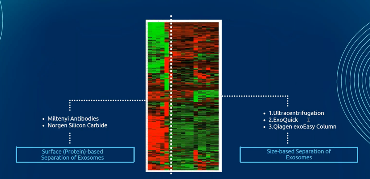 Exosome integrity