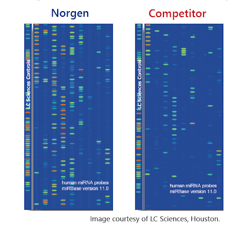 superior miRNA diversity