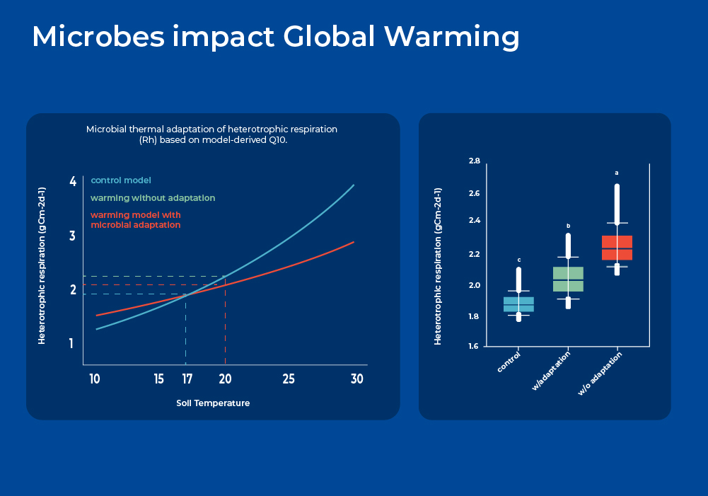 Soil Microbes as Key Partners in Fighting Climate Change | Norgen ...