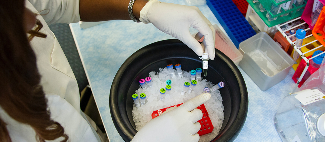 centrifuge tubes in ice