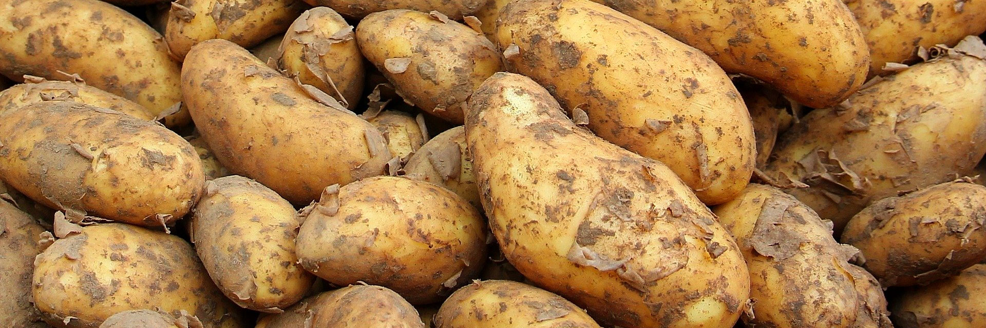 potatoes