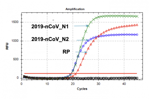 Example of SARS-CoV-2 detection using Norgen's  2019-nCoV RT-PCR Kit