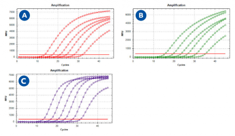 Analytical Sensitivity