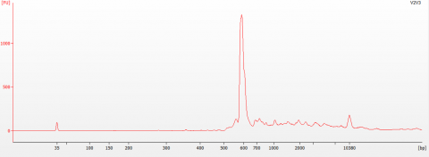 Figure 3: BioAnalyzer Trace of the 16S V2-V3 Indexed Library