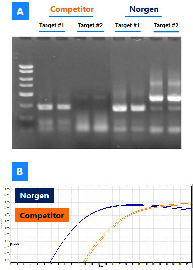 Figure 1. Robust Reverse Transcription of All RNA Transcripts