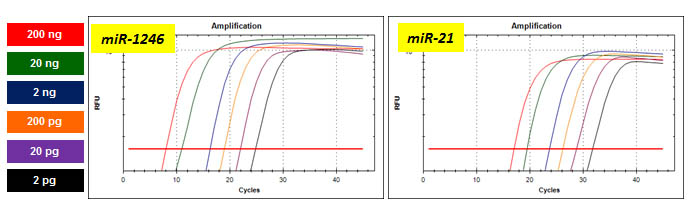 Figure 1. microScript microRNA cDNA Synthesis Kit 