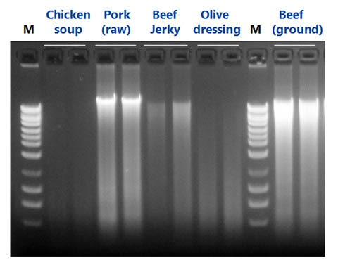 Figure 1.  Isolate DNA from a Wide Range of Food Samples