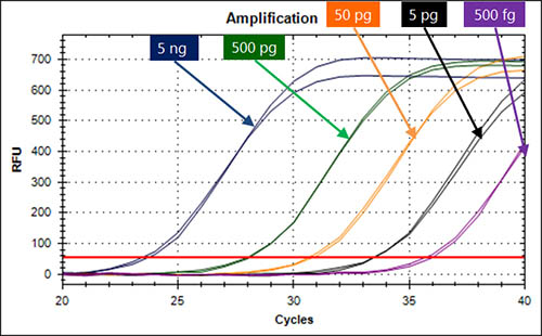 Figure 2.  Sensitivity of DNA Quantification in the Picogram Range