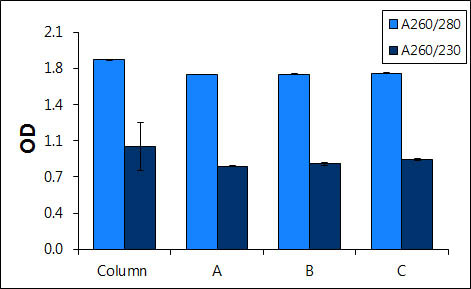 Figure 2.  High Purity of DNA