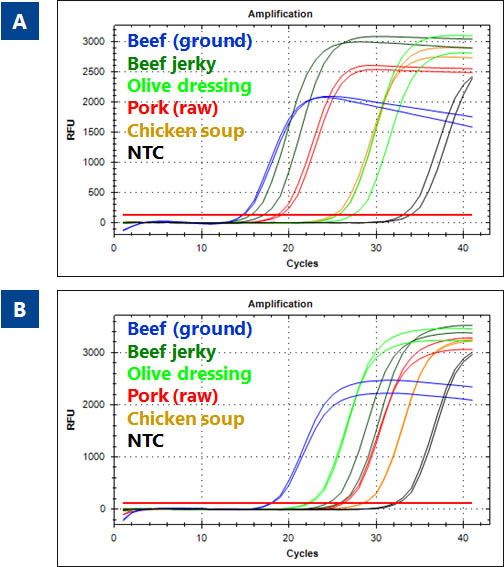 Figure 3.  High Quality DNA free from PCR Inhibitiors