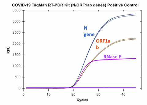 Multiplexed RT-PCR using the COVID-19 TaqMan RT-PCR Kit (N/ORF1ab genes) 