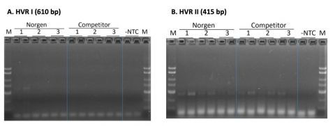 Figure 1. Comparison of mitochondrial DNA Isolation kit for Hyper Variable Region (HRV) PCR amplification