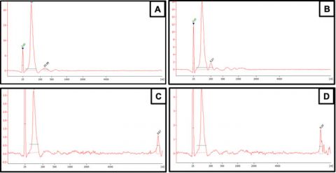 Figure 1. Quality/quantity of the RNA purified from 4 mL K2 EDTA plasma