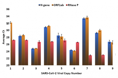 Highly sensitive and reproducible SARS-CoV-2 viral particle detection from varied sample matrices