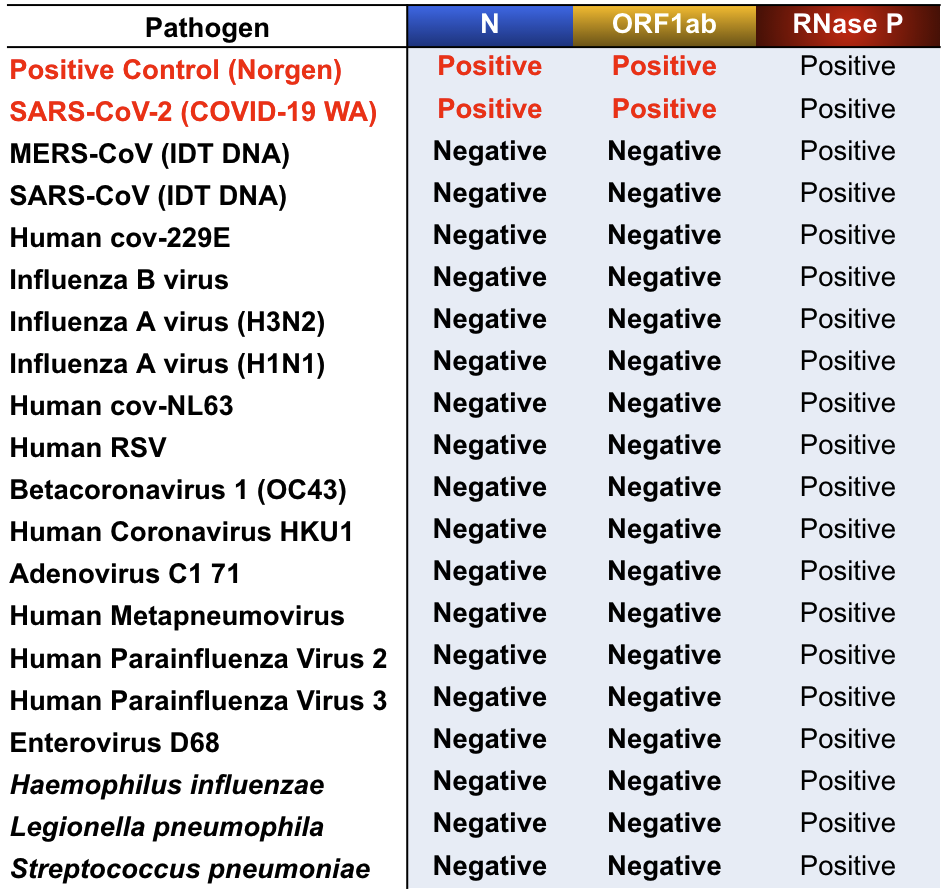 Highly specific detection of SARS-CoV-2; No cross reactivity with other similar/major pathogens