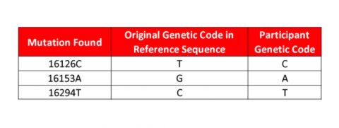 Figure 4. Example of mutation and haplogroup match genetic analysis. 