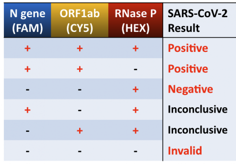 RT-PCR data interpretation key