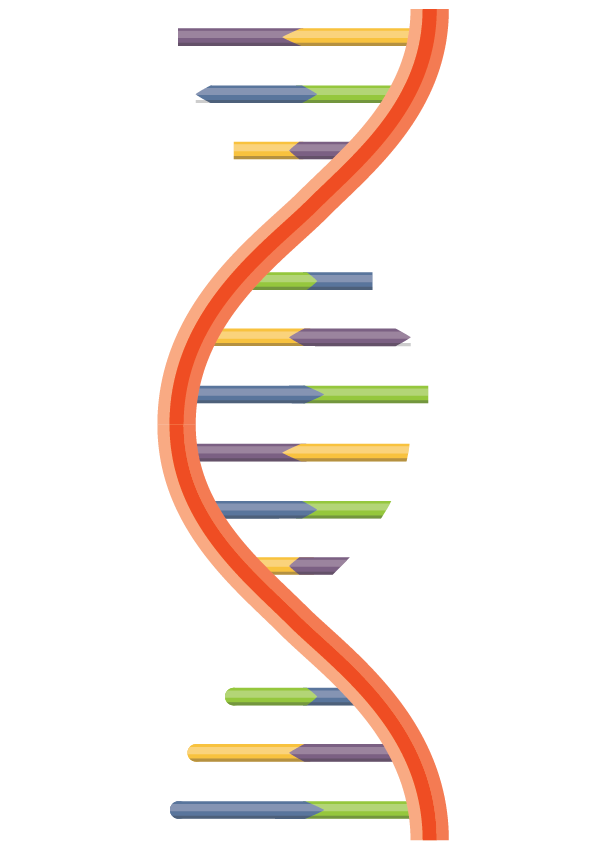 Cellular RNA