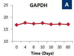 Figure 2. Stability of three house keeping genes over a 2 month period