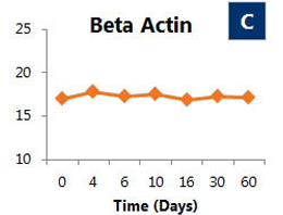 Figure 2. Stability of three house keeping genes over a 2 month period