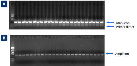 NGS Normalization 96-Well Kit Figure 1