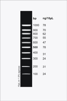 PCR Sizer 100 bp DNA Ladder Figure 1