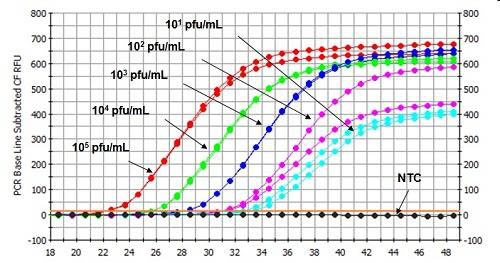 Figure 2.  Isolation of Viral DNA from Plasma