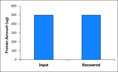 Figure 10. High Protein Recovery