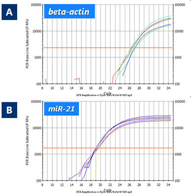 Figure 5. High Yield and Consistent Recovery of a Diversity of RNA Species