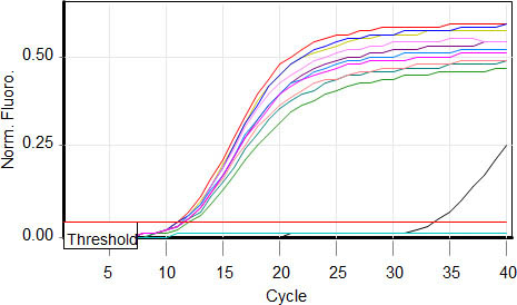 Figure 6. Purified DNA Can be Amplified in a Real-time PCR (SYBER GREEN) Reaction.