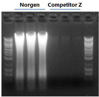 Figure 1.  Higher Yields of DNA than Competitor Z