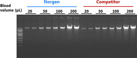 Figure 7. High Yields of DNA Isolated from 20 µL to 200 µL of Whole Blood