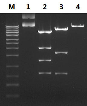 Figure 5. Full Compatibility with Digests