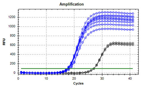 Figure 5. High DNA Quality Confirmed By Real-time PCR