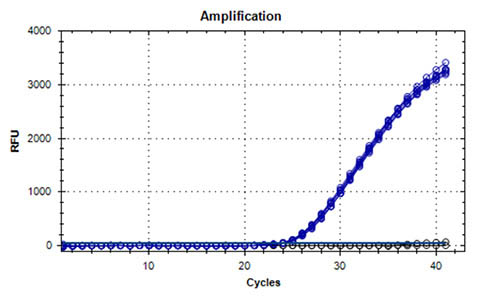 Figure 9. High Quality DNA was Confirmed by Real-Time PCR