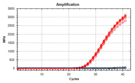 Figure 19. Detection of GAPDH From Blood Samples Preserved in EDTA Anticoagulants