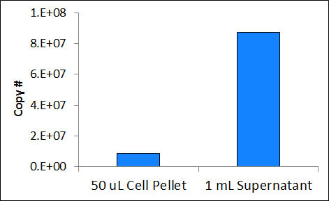 Figure 6. Purification from Both Cell Pellet and Supernatant