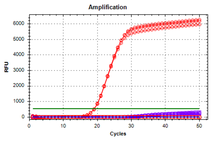 Figure 6. Qualitative Analysis