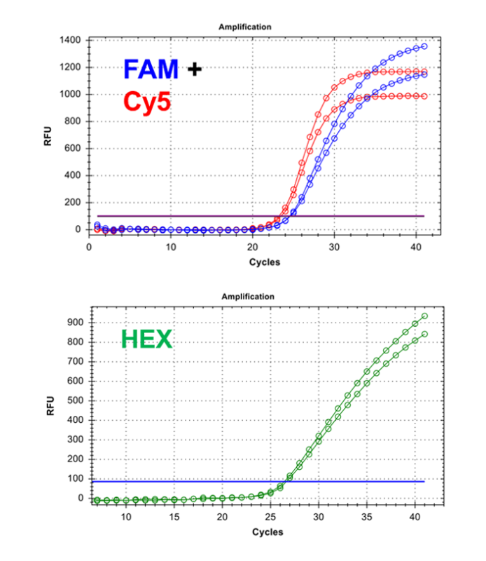 Example of TaqMan PCR Positive result.